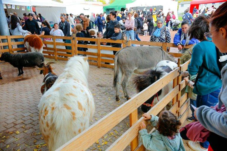 572023494_1489408552865168_5846974030846155872_n