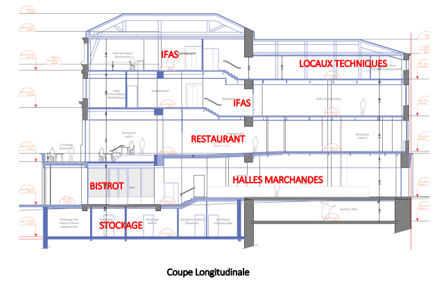 Coupe longitudinale defi mode
