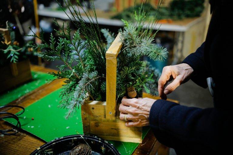 602513270_1543010447504978_6820547717920804845_n